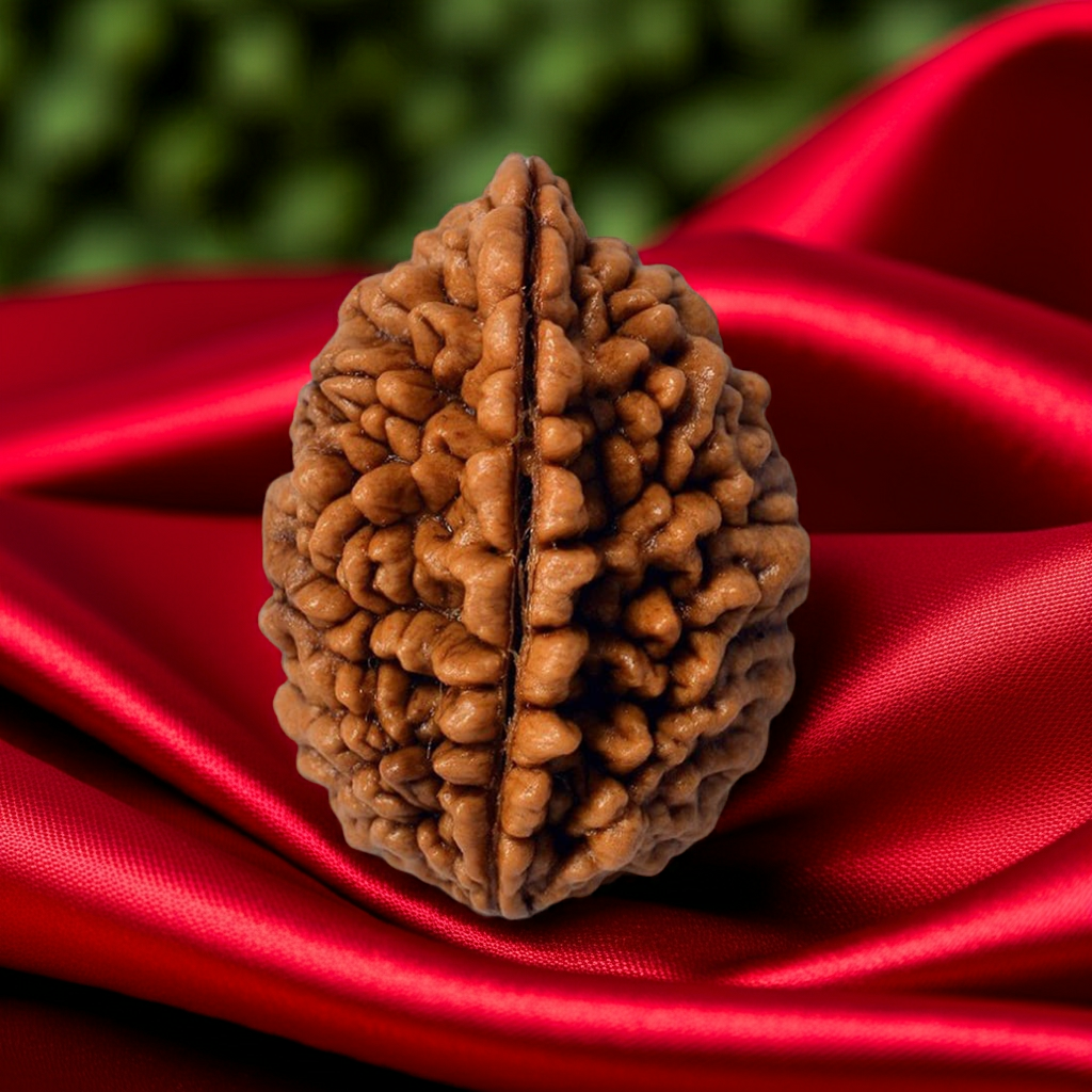 1 Mukhi Lab Certified Rudraksha